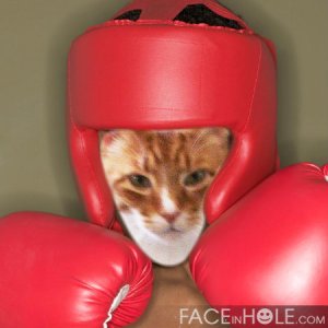 I'm ready to rumble!