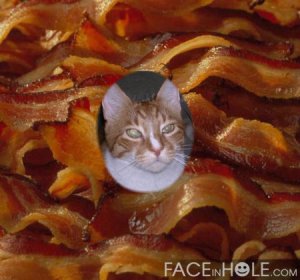 Oh boy!  Me swimming in a pool of bacon!